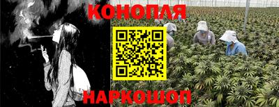 стафф Пыть-Ях