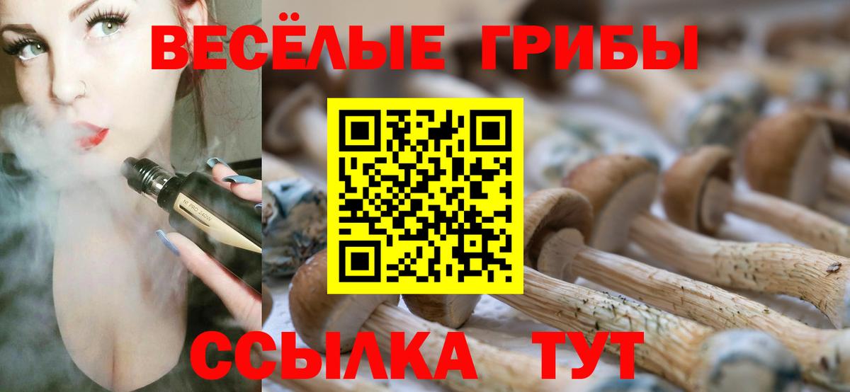 Псилоцибиновые грибы MAGIC MUSHROOMS  Вход с VPN  Ржев 